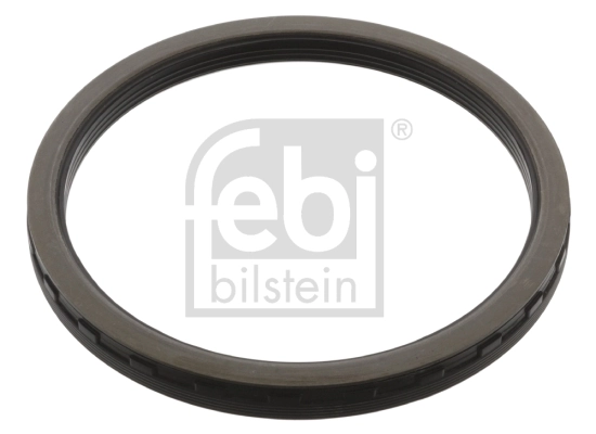 Shaft Seal, wheel hub